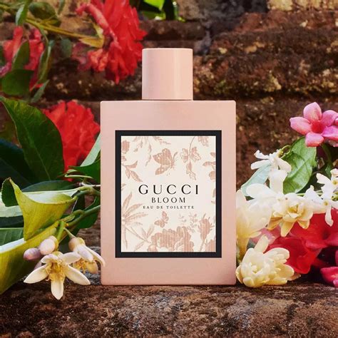 gucci flowers profumo|gucci bloom fragrantica.